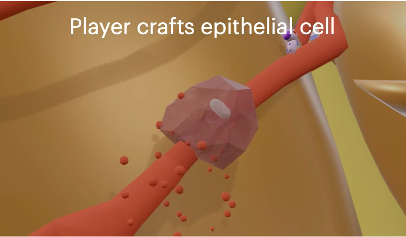 Level 2 — player crafts epithelial cells